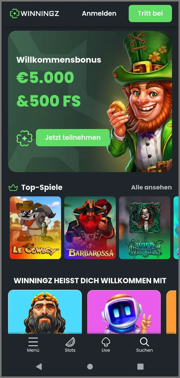 Kompakte Übersicht der Hauptkategorien von Winningz